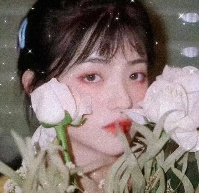 谜情家族粤语